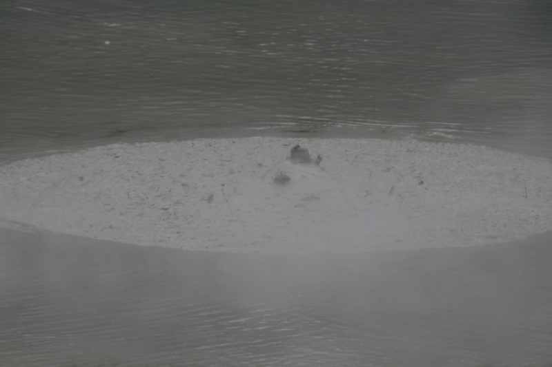 Nieuw-Zeeland 2011 - 0736